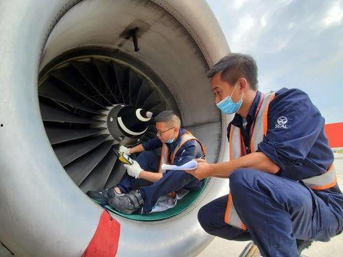 飞机吃瓜视频大全,飞机上那些令人捧腹的吃瓜瞬间大盘点