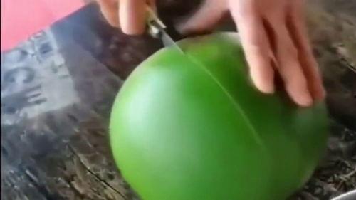 可以吃爆炸瓜吗有毒吗视频,揭秘是否有毒风险