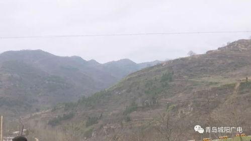 陇南成县吃瓜事件真相视频,真相与反思