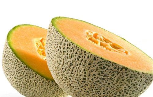 仓鼠吃绿哈密瓜好吗视频,绿哈密瓜对仓鼠健康益处的视频解析