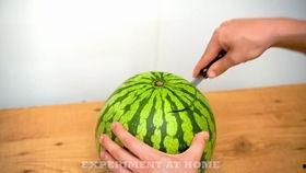 衡水深州吃瓜视频,揭秘当地特色美食文化