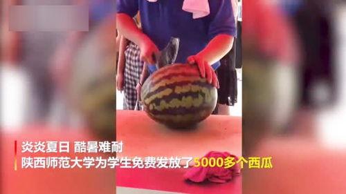 师范大学吃瓜视频,揭秘校园生活趣味瞬间