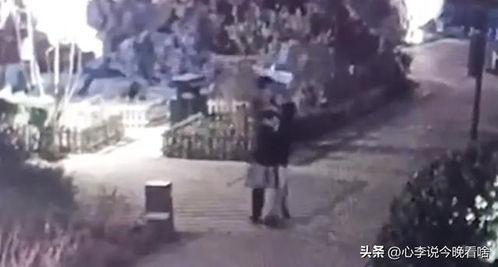 重庆跨年吃瓜事件视频,一场别开生面的年度盛宴