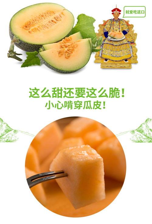 吃蜜瓜会中毒吗视频,食用需谨慎