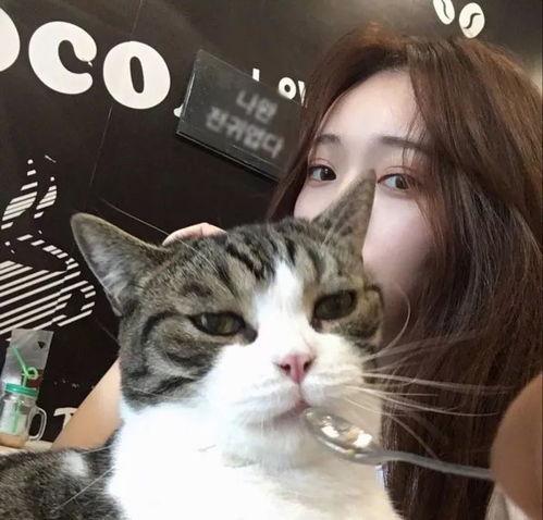 吃瓜吸猫少女视频大全