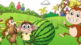 猴子吃大老瓜视频大全集,欢乐视频集锦大放送